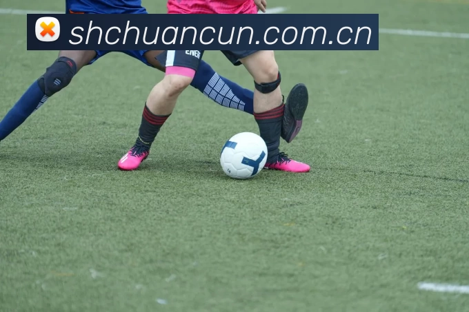 爱游戏(ayx)中国官方网站平台 - 登录入口APP 封面图