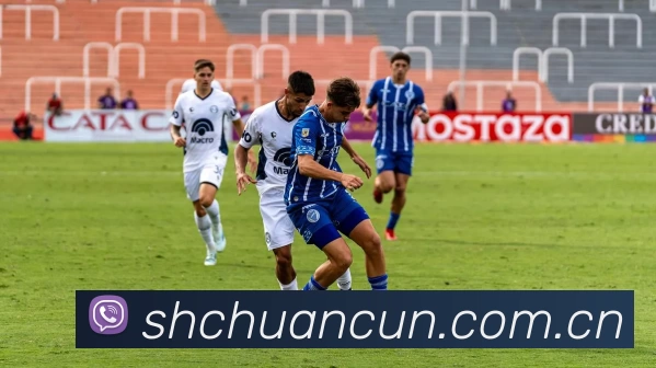 数据防护可视化